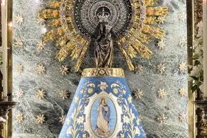 virgen pilar manto inmaculada copia